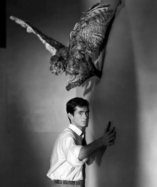 公认全世界最恐怖的5部电影(主张别一个人看)