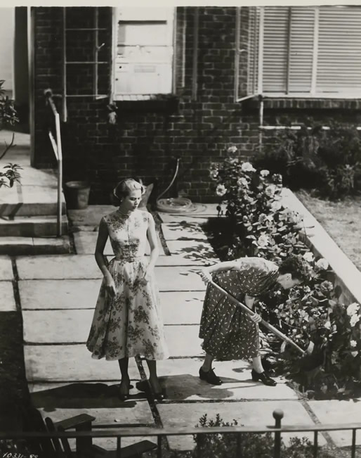 希区柯克5不经典电影 每一部都值得细细品一品