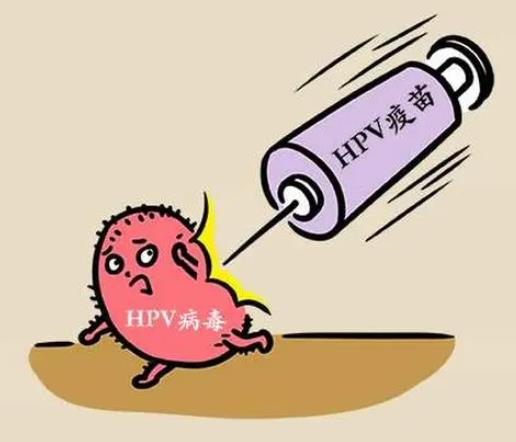 打hpv疫苗多久不能同房?为什么男性不能打九价疫苗? 打hpv疫苗多久不能同房?为什么男性不能打九价疫苗?