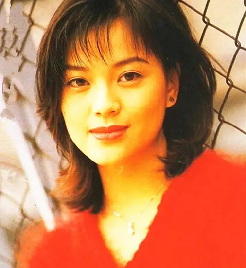 刘小慧简历个人资料 刘小慧简介近照年轻图片