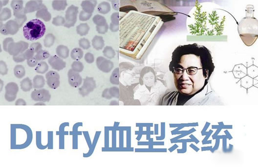 十大最稀有血型 稀有的10大血型你知道几个呢 十大最稀有血型 稀有的10大血型你知道几个呢