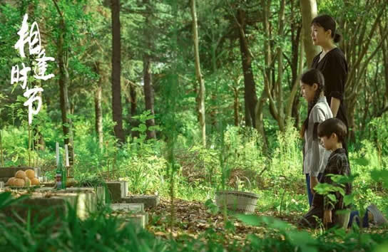 现在什么电视剧火又好看2022 好看电视剧排行榜前10