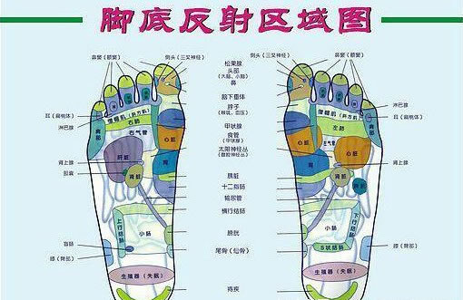 脚的各个部位详细图 脚弓/脚面/脚底(示意图解) 脚的各个部位详细图 脚弓/脚面/脚底(示意图解)