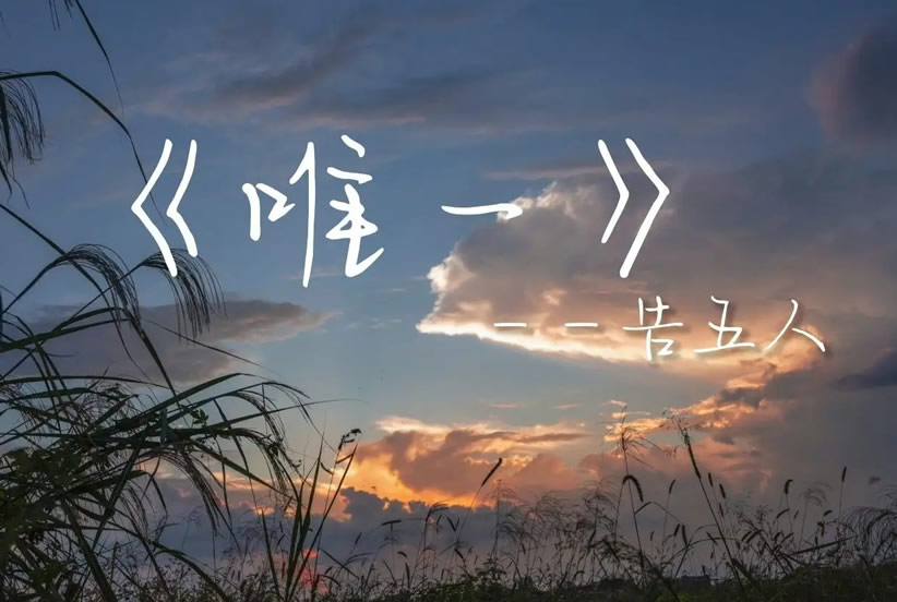 2022年一夜爆红15首歌曲 《孤勇者》全国小学生都在唱