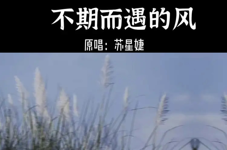 2022年一夜爆红15首歌曲 《孤勇者》全国小学生都在唱
