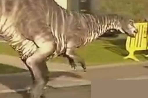 美国发现了一只活恐龙怎么回事 真相是什么(恐龙道具) 美国发现了一只活恐龙怎么回事 真相是什么(恐龙道具)