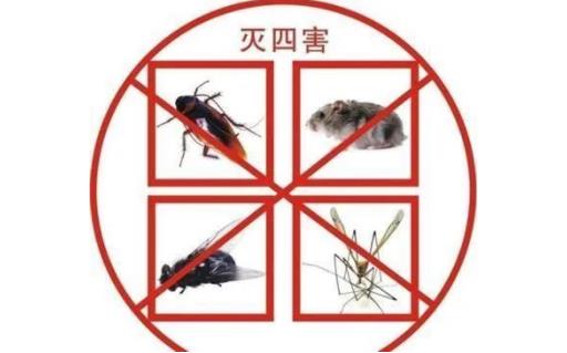 四害是指哪4种生物呢 苍蝇/老鼠/蚊子/蟑螂(危害不可轻视) 四害是指哪4种生物呢 苍蝇/老鼠/蚊子/蟑螂(危害不可轻视)
