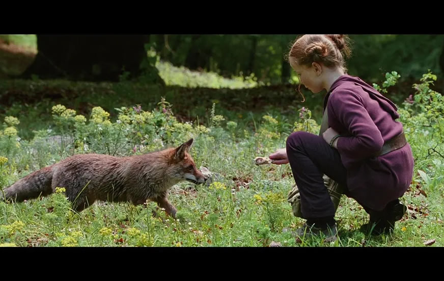 推荐5部适合小学生看的电影励志电影 推荐5部适合小学生看的电影励志电影