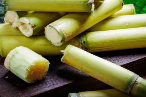 胃病患者的十种最佳水果 香蕉保养肠胃,苹果葡萄有助于消化 胃病患者的十种最佳水果 香蕉保养肠胃,苹果葡萄有助于消化