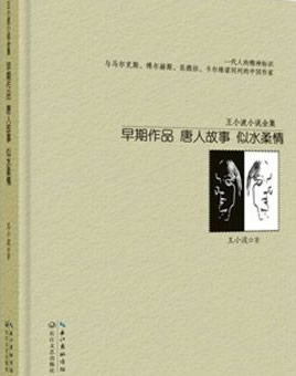 王小波最好看的书十大经典作品推荐