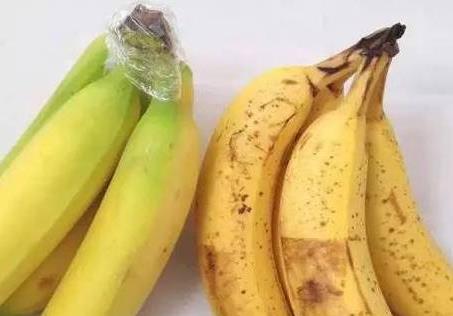 香蕉为什么不能放到冰箱里储存 10种食物不宜放冰箱 香蕉为什么不能放到冰箱里储存 10种食物不宜放冰箱