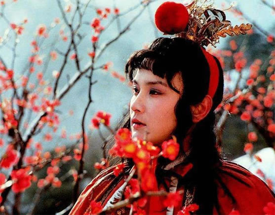 红楼梦贾宝玉和谁发生过关系 书中明确介绍了和袭人同房经历 红楼梦贾宝玉和谁发生过关系 书中明确介绍了和袭人同房经历