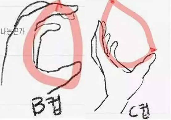 一只手能抓住的是c吗 一手抓住是B还是C呢? 一只手能抓住的是c吗 一手抓住是B还是C呢?