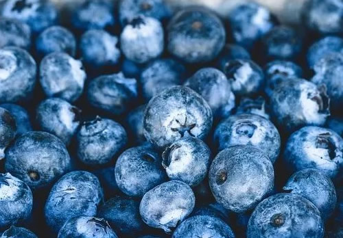 水果之王是哪种水果(曾经的4种水果) 水果之王是哪种水果(曾经的4种水果)