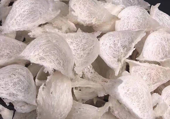 燕窝是什么东西怎么形成的呢 燕窝是什么东西怎么形成的呢