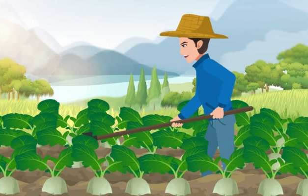 300斤萝卜被偷找到已成萝卜丝 始末真相及结局起底