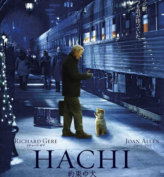 二十部值得看的电影 趁年轻你不能错过了观看