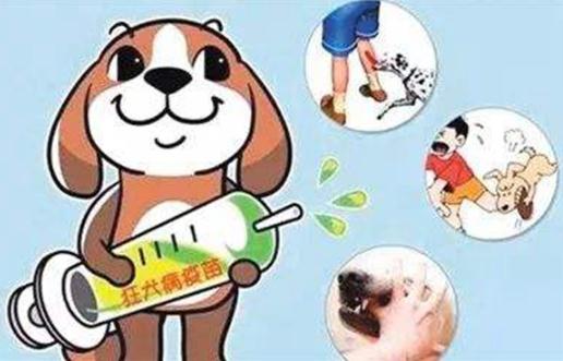 狂犬病的早期症状有哪些 能治愈吗(以预防为主)