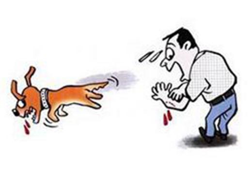 狂犬病的早期症状有哪些 能治愈吗(以预防为主)