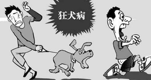 狂犬病的早期症状有哪些 能治愈吗(以预防为主)