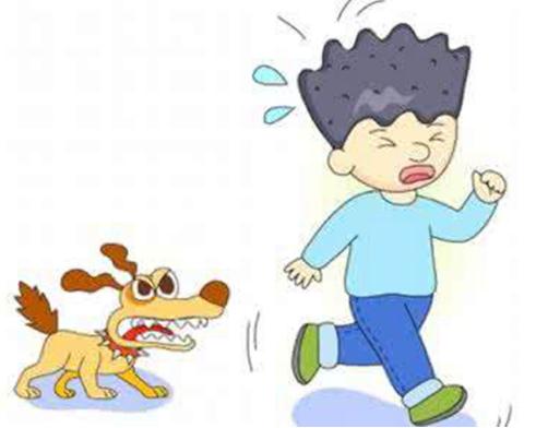 狂犬病的早期症状有哪些 能治愈吗(以预防为主)