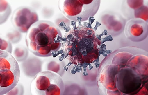 全球十大绝症 狂犬病可防不可治,心脑血管越来越年轻化 全球十大绝症 狂犬病可防不可治,心脑血管越来越年轻化