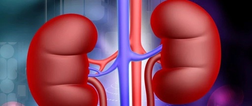 全球十大绝症 狂犬病可防不可治,心脑血管越来越年轻化 全球十大绝症 狂犬病可防不可治,心脑血管越来越年轻化