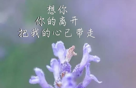 树洞是什么意思 女人说我成了你的树洞意思解读 树洞是什么意思 女人说我成了你的树洞意思解读