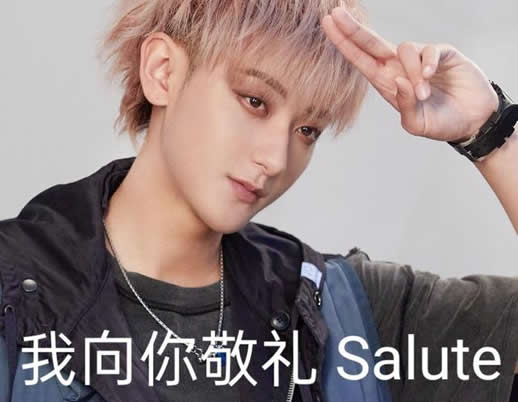 女生发salute是什么意思 求解黄子韬salute是什么梗 女生发salute是什么意思 求解黄子韬salute是什么梗
