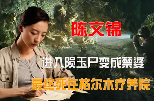 陈文锦进入陨石后发生了什么 陈文锦结局是什么