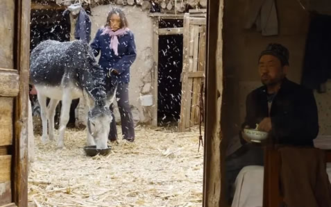 隐入尘烟结局分析 老四死了吗 观后感文案 隐入尘烟结局分析 老四死了吗 观后感文案