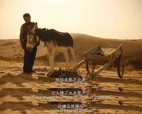 隐入尘烟结局分析 老四死了吗 观后感文案 隐入尘烟结局分析 老四死了吗 观后感文案