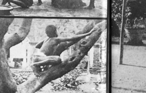 狼孩小杰近况还活着吗(世界真实性狼孩事件)