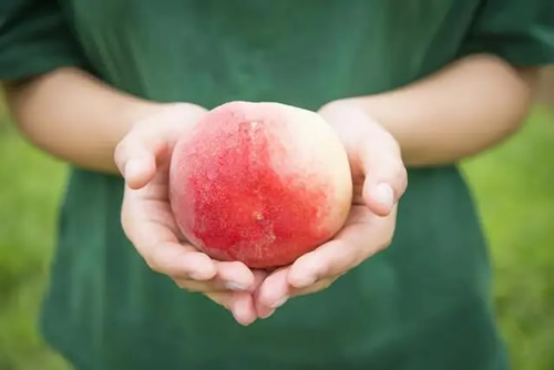 想吃你的水蜜桃是什么意思(暧昧的暗示) 想吃你的水蜜桃是什么意思(暧昧的暗示)