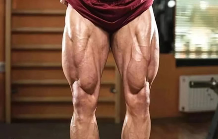 练肌肉为什么人老了会后悔(练肌肉更困难) 练肌肉为什么人老了会后悔(练肌肉更困难)