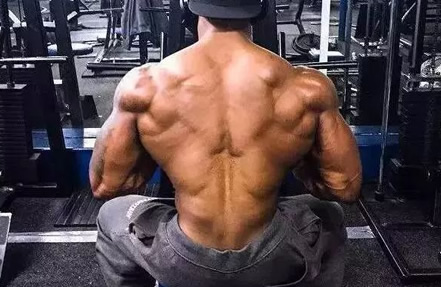 练肌肉为什么人老了会后悔(练肌肉更困难) 练肌肉为什么人老了会后悔(练肌肉更困难)