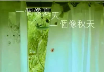 情歌对唱经典老歌60首推荐