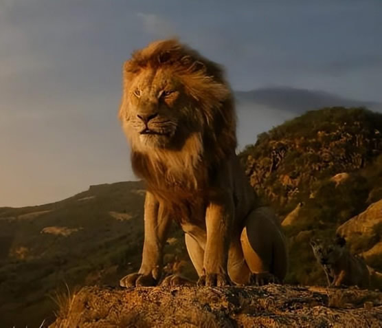 全球动漫排行榜前十名有哪些(好看10部动漫推荐)