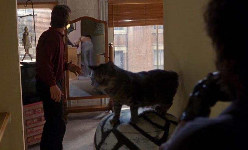 十部美国经典爱情电影 好看的欧美电影推荐