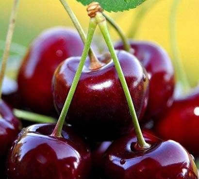 车厘子自由是什么梗 来源解析(附车厘子自由的文案)