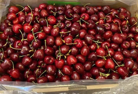 车厘子自由是什么梗 来源解析(附车厘子自由的文案)