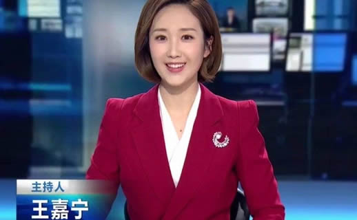 央视王嘉宁老公 王嘉宁有男朋友吗