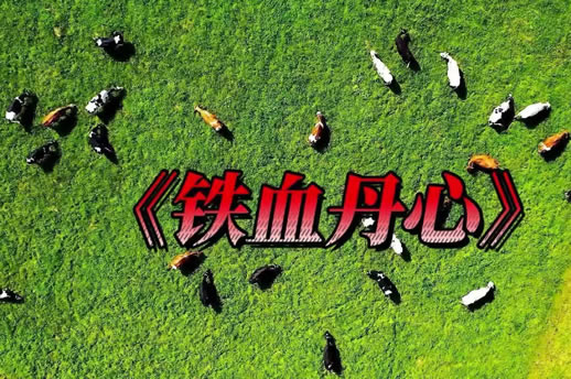 ktv情歌对唱歌曲大全100首 男女对唱经典老歌 ktv情歌对唱歌曲大全100首 男女对唱经典老歌