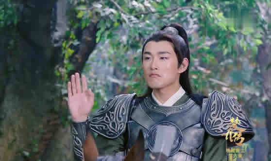 楚乔传宇文怀第几集死