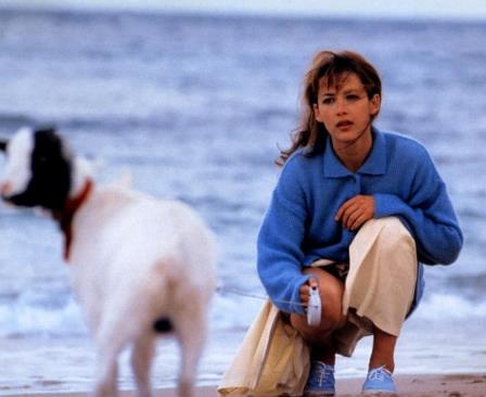 推荐10部欧美电影适合晚上看的电影(顶级影星出演)