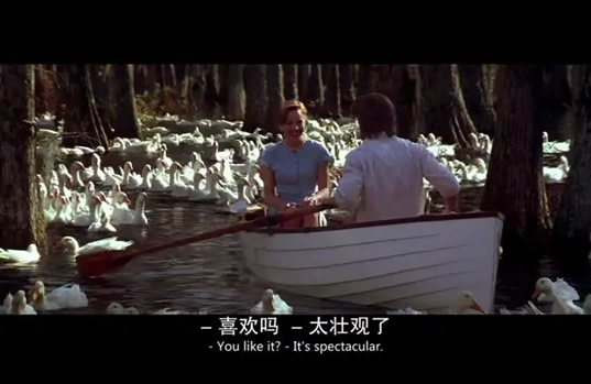 适合和男朋友一起看的电影10部(情侣晚上看)