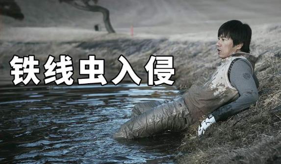 最刺激的灾难电影 10部毁灭性灾难片(经典回顾)