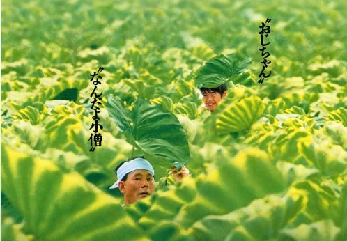 十部高分影片 值得一看电影(经典精选)