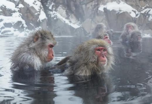 哪个电视剧好看推荐一下2023(6部推荐)