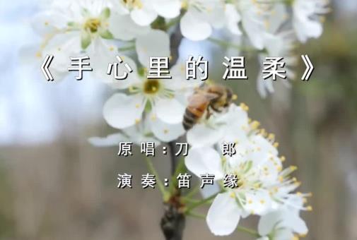 刀郎最好听的三首歌 刀郎最火10首歌曲推荐